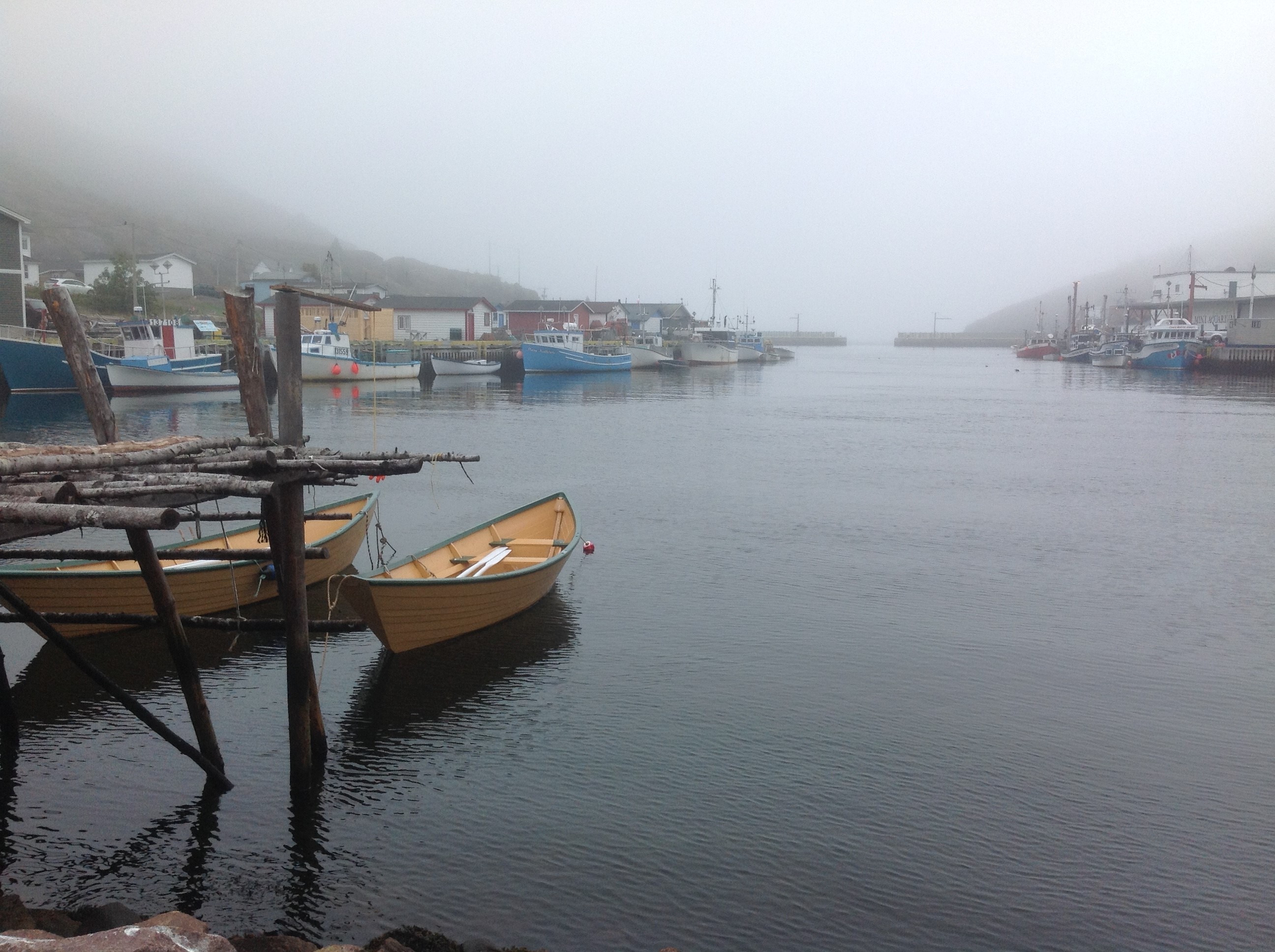 Photo Celebrate the Protected Fishing Area of Petty Harbour-Maddox Cove