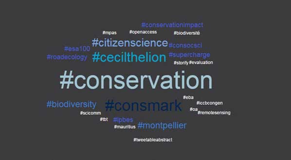 Photo There were more than 20,000 tweets about #ICCB2015. These were the most used hashtags